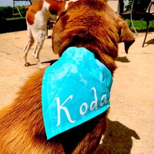 Cute dog bandannas hand made!